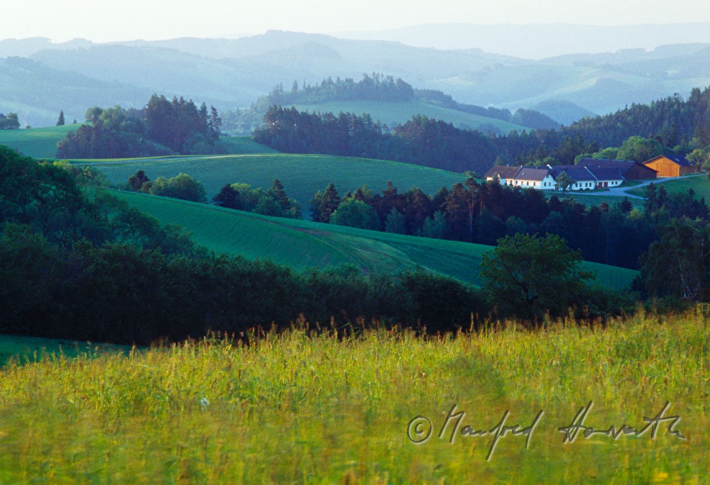 Bauernhof in hügeliger Landschaft