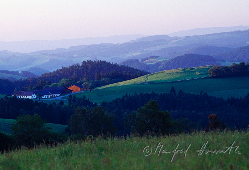 Bauernhof in hügeliger Landschaft