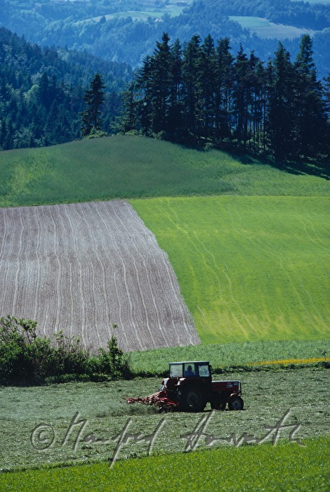 Heumachen mit dem Traktor