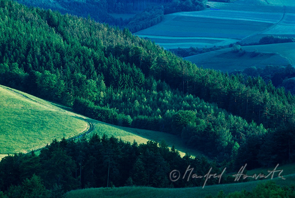 Wald und Wiesen