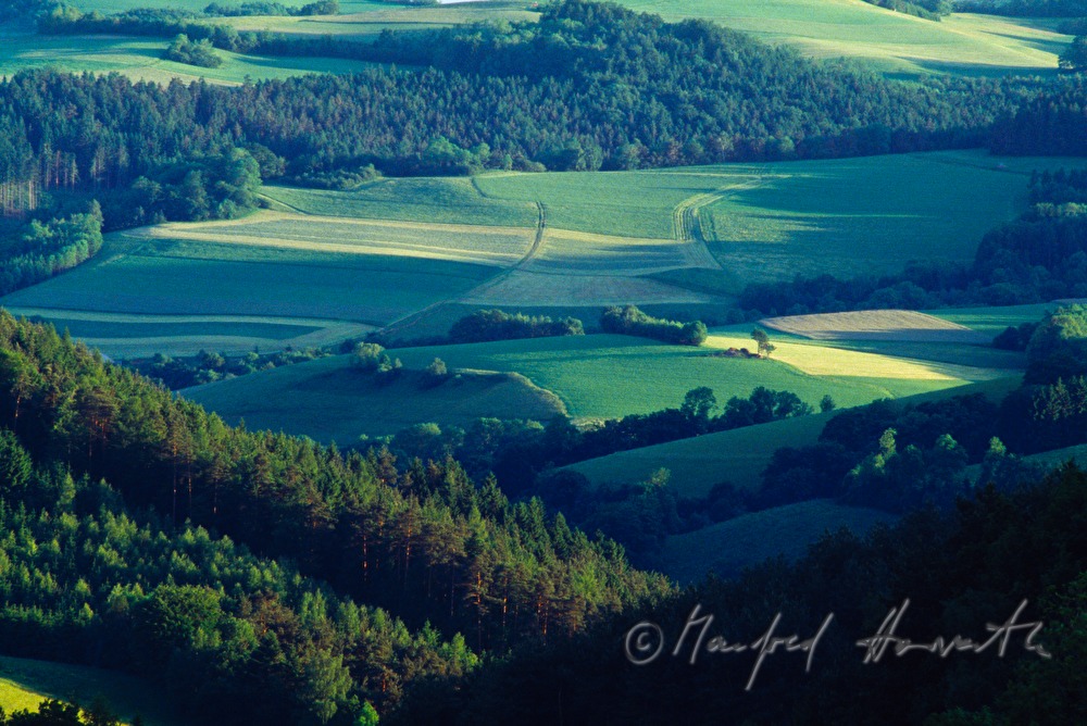 Wald und Wiesen