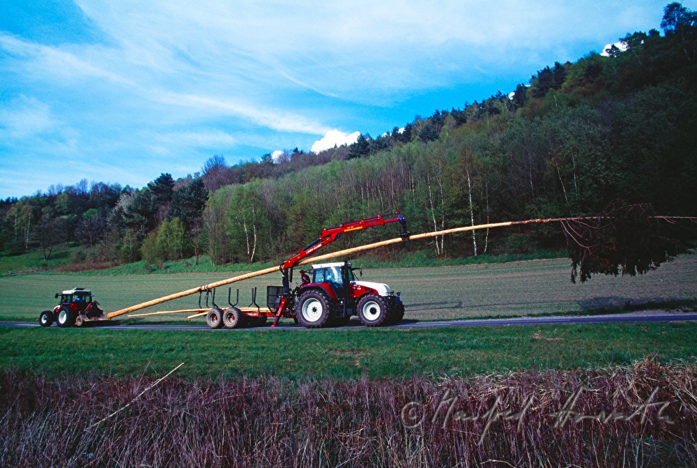 Maibaum-Transport