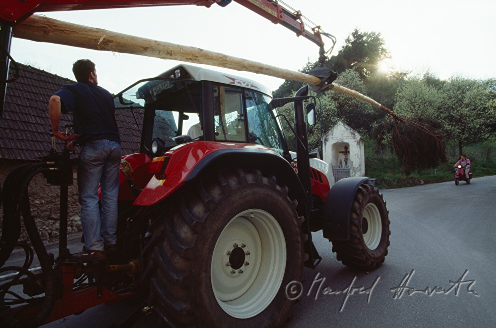 Maibaum-Transport