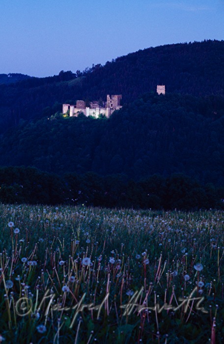 Burgruine von Marktgemeinde Kirchschlag
