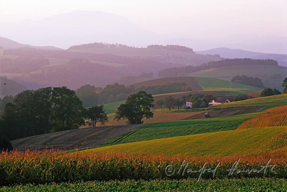 Bauernhof in hügeliger Landschaft