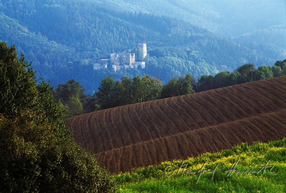 Burgruine und rollende Felder