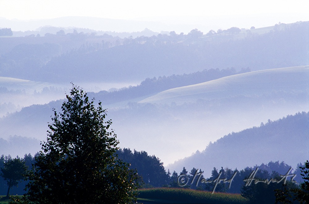 hügelige Landschaft bei Bromberg
