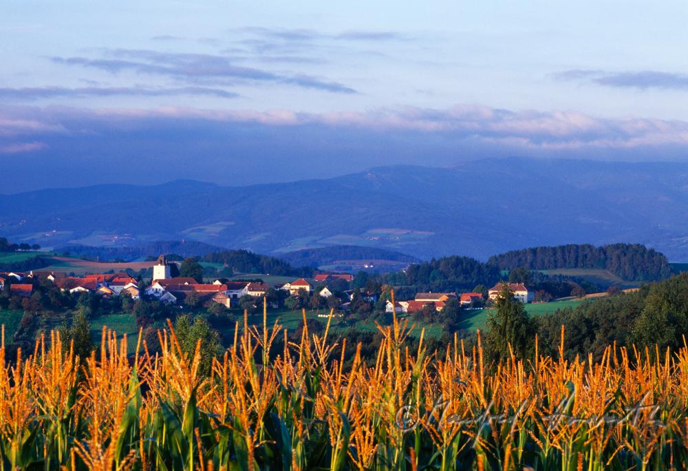 hügelige Landschaft bei Lichtenegg