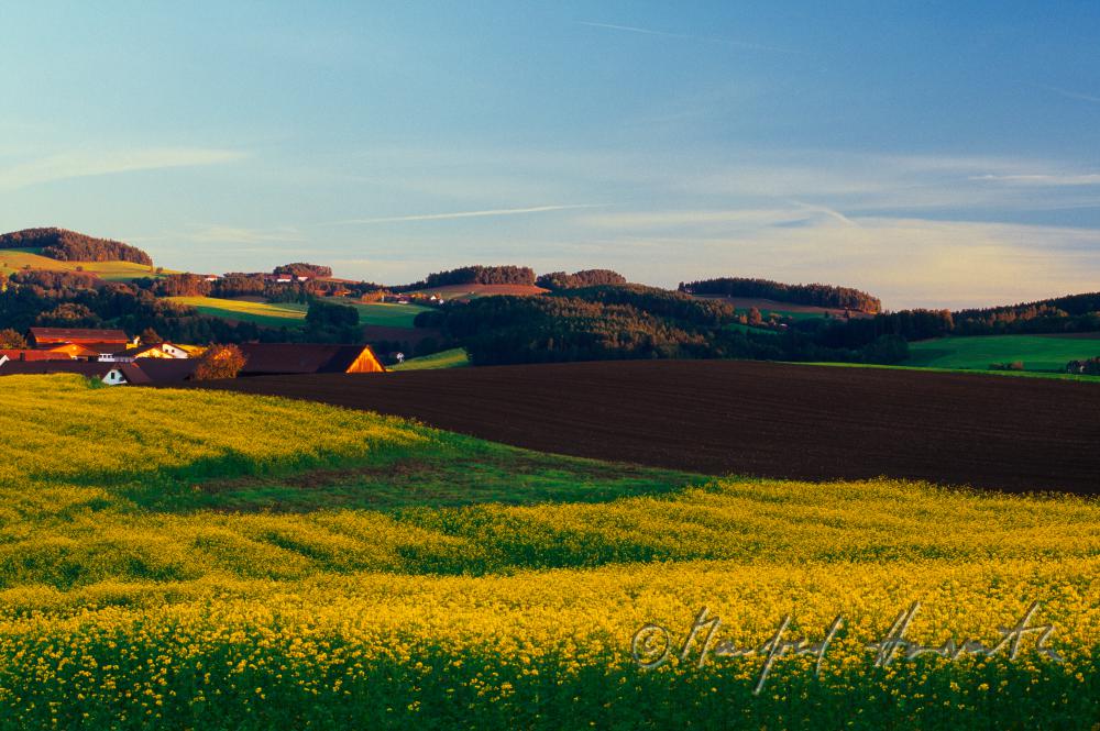 Bauernhöfe in hügeliger Landschaft