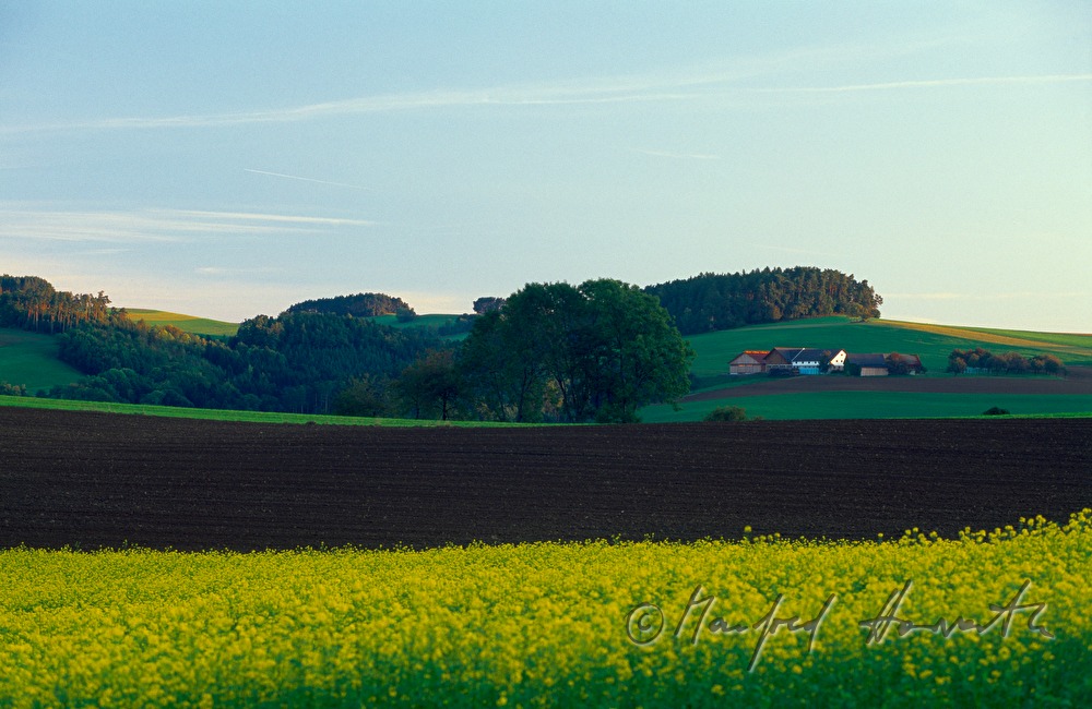 Bauernhof in hügeliger Landschaft