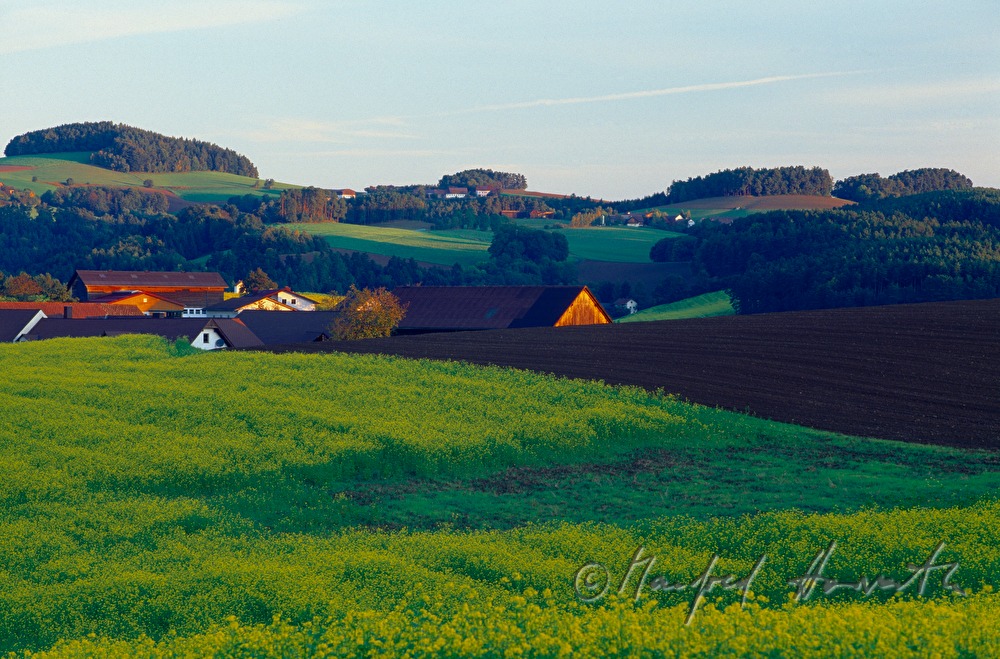 Bauernhöfe in hügeliger Landschaft