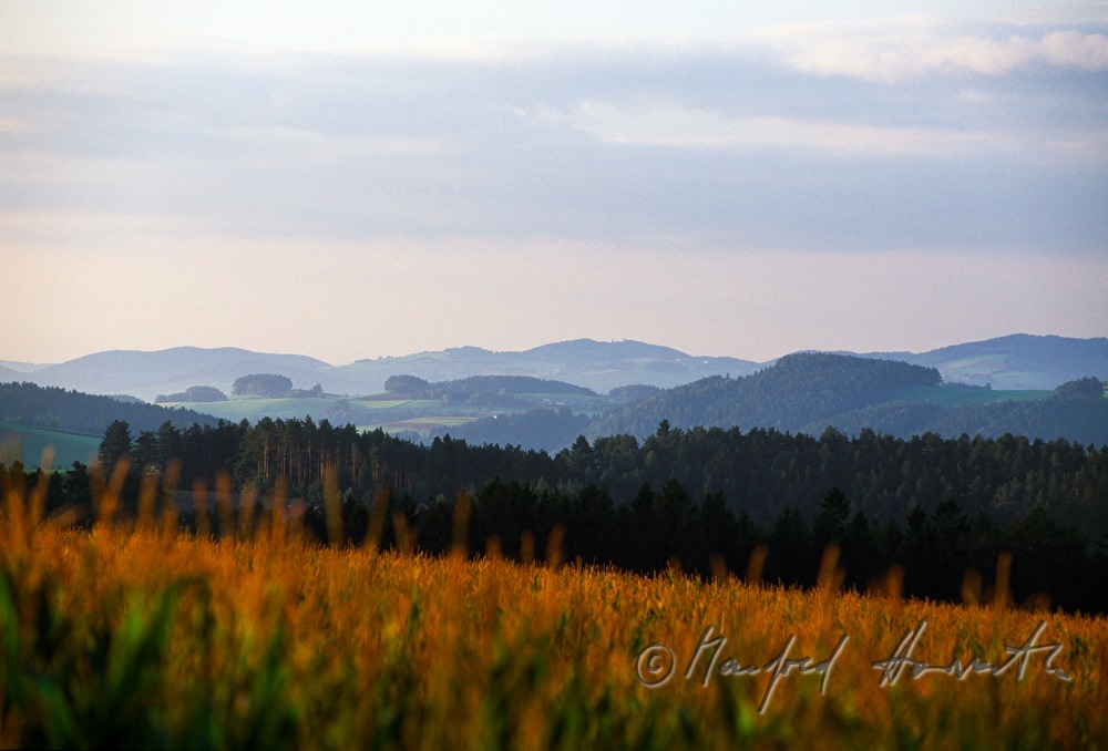 hügelige Landschaft bei Lichtenegg