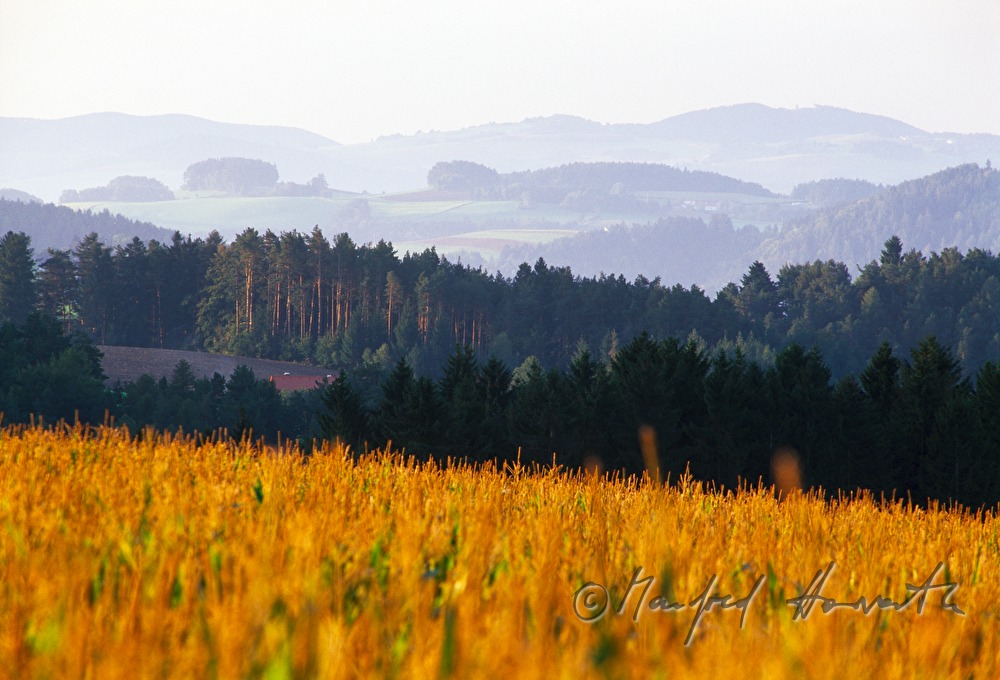 hügelige Landschaft bei Lichtenegg