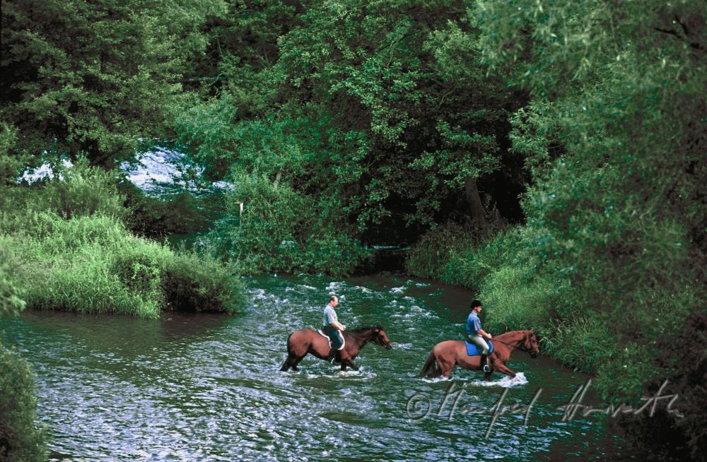 Reiter queren den Fluss