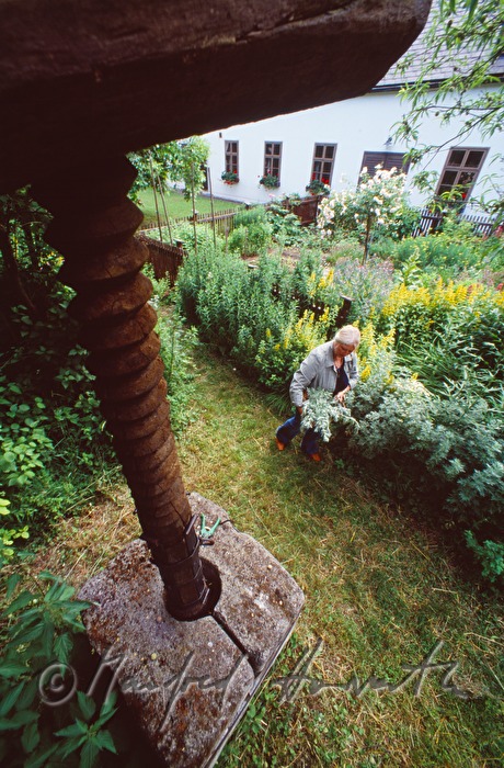 Kräutergarten im Volkskundemuseum