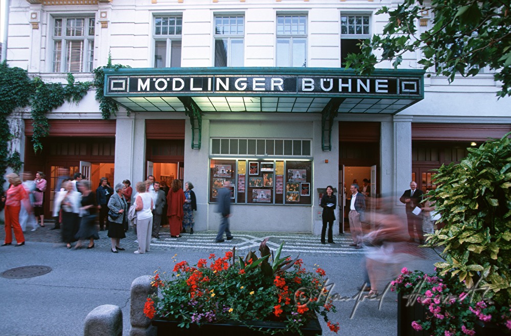 Stadttheater, Publikum