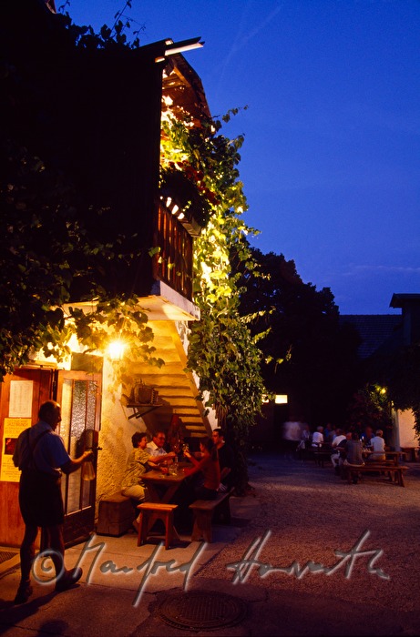 Heurigen Gruber, Gastgarten
