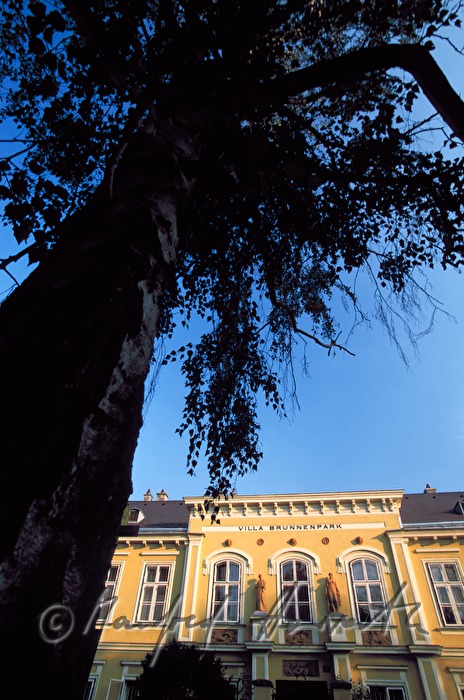 Jugendstil-Villa Brunnenpark