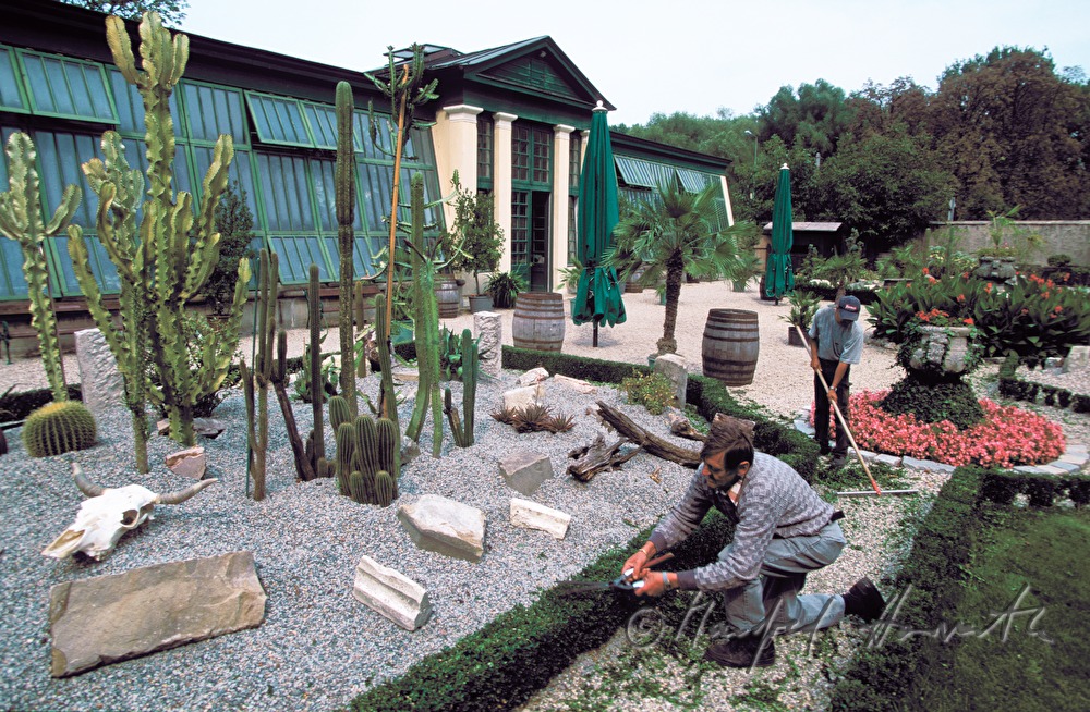 Orangerie, Gartenausstellung: Mexikanische Kakteen
