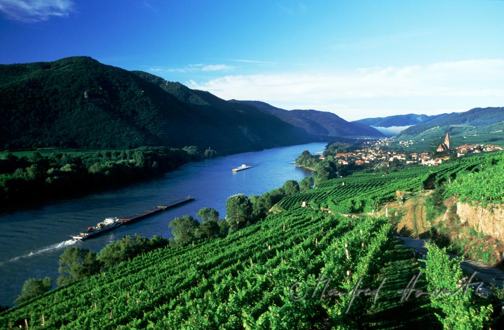 Blick von Riede Klaus auf die Donau