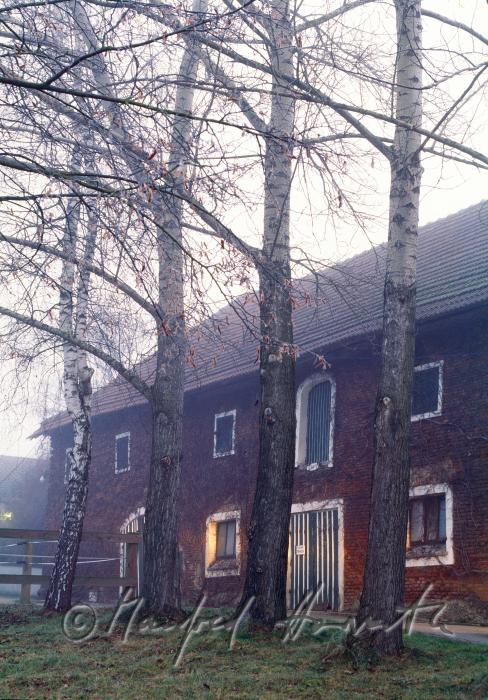 Vierkanter Wimmer-Weindlmayer im Morgennebel