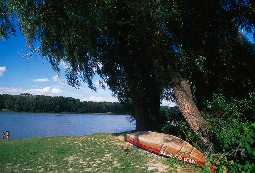 Badegäste am Donaustrand des 