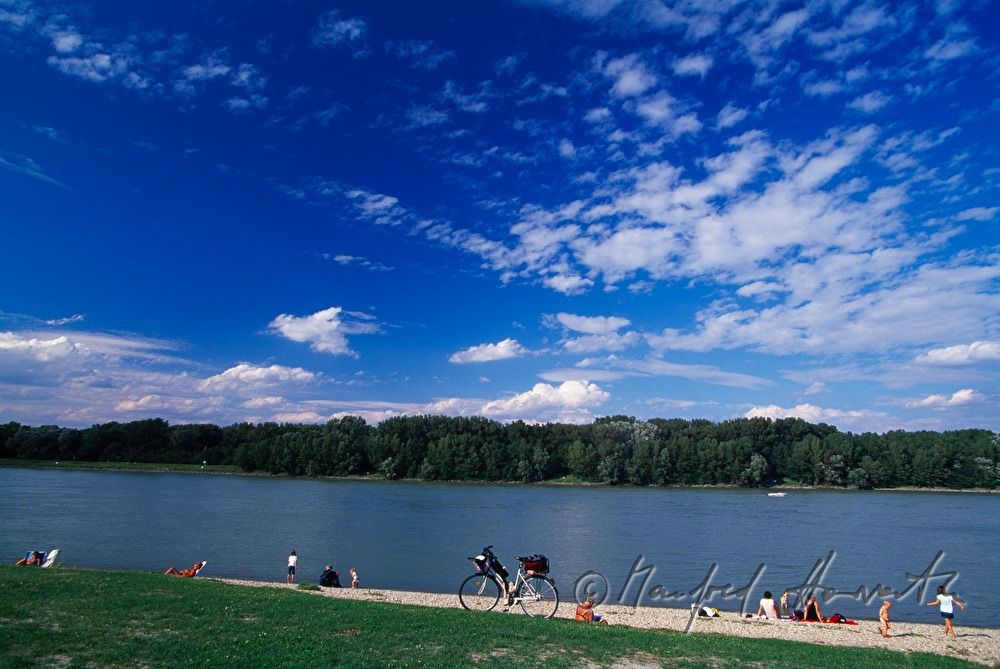 Badegäste am Donaustrand des 
