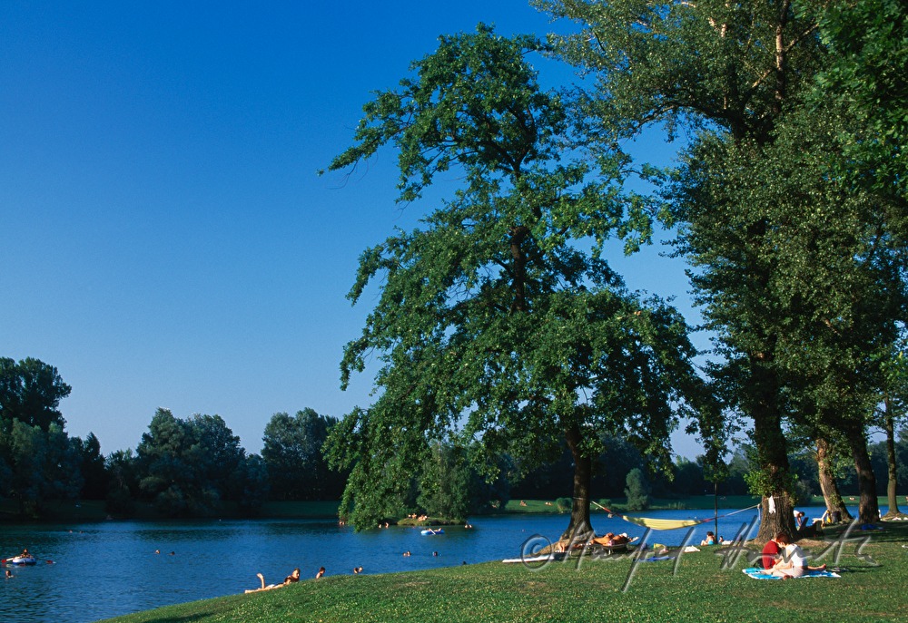 Badesee des Aubad in den Donauauen