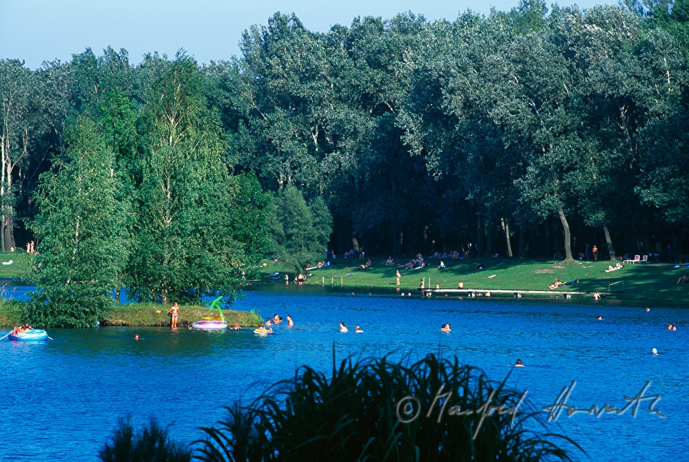 Badesee des Aubad in den Donauauen