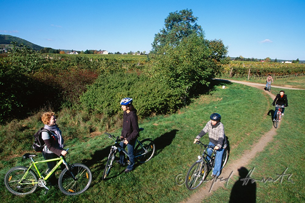 Radfahrer am Radweg