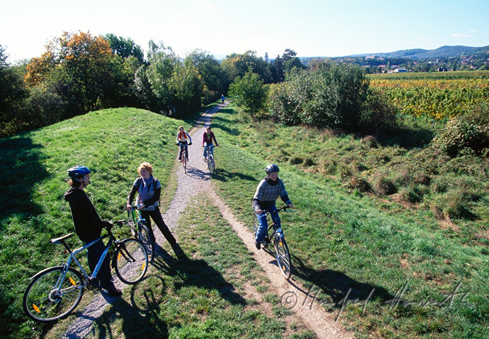 Radfahrer am Radweg