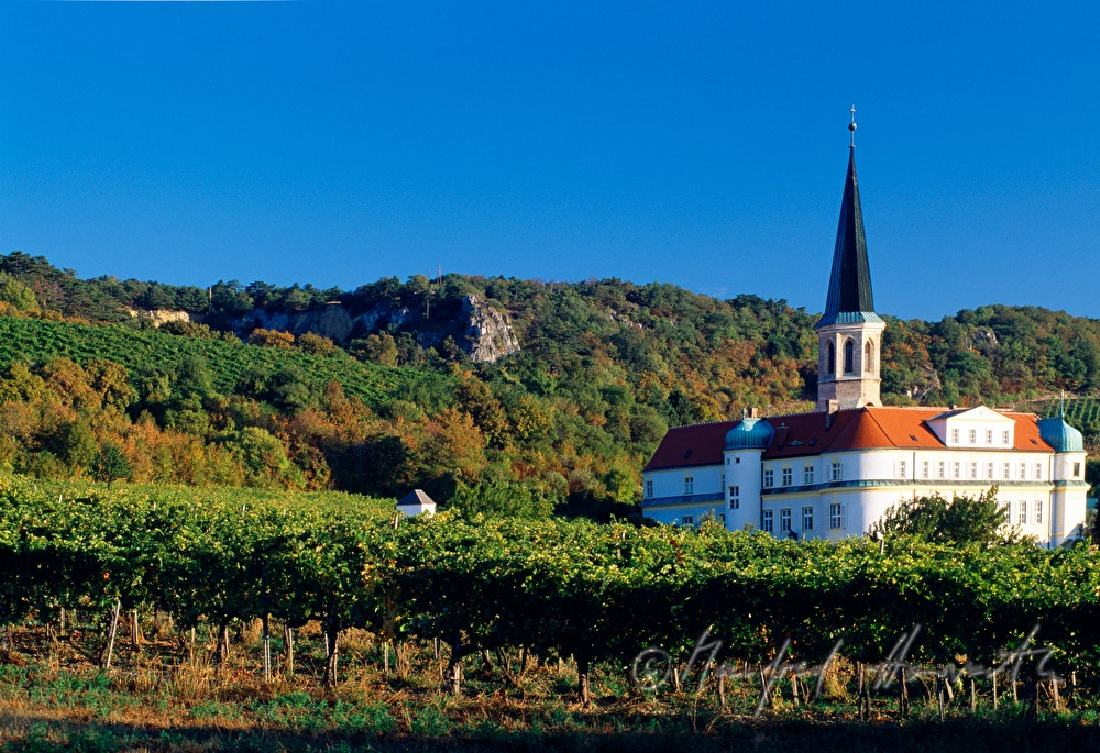 Schloss Gumpoldskirchen und Weinberge