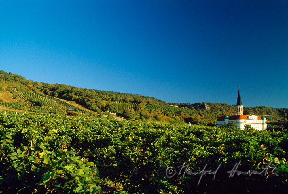 Schloss Gumpoldskirchen und Weinberge