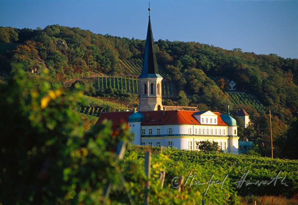 Schloss Gumpoldskirchen und Weinberge