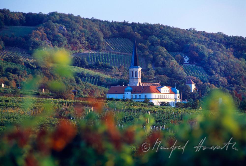 Schloss Gumpoldskirchen und Weinberge