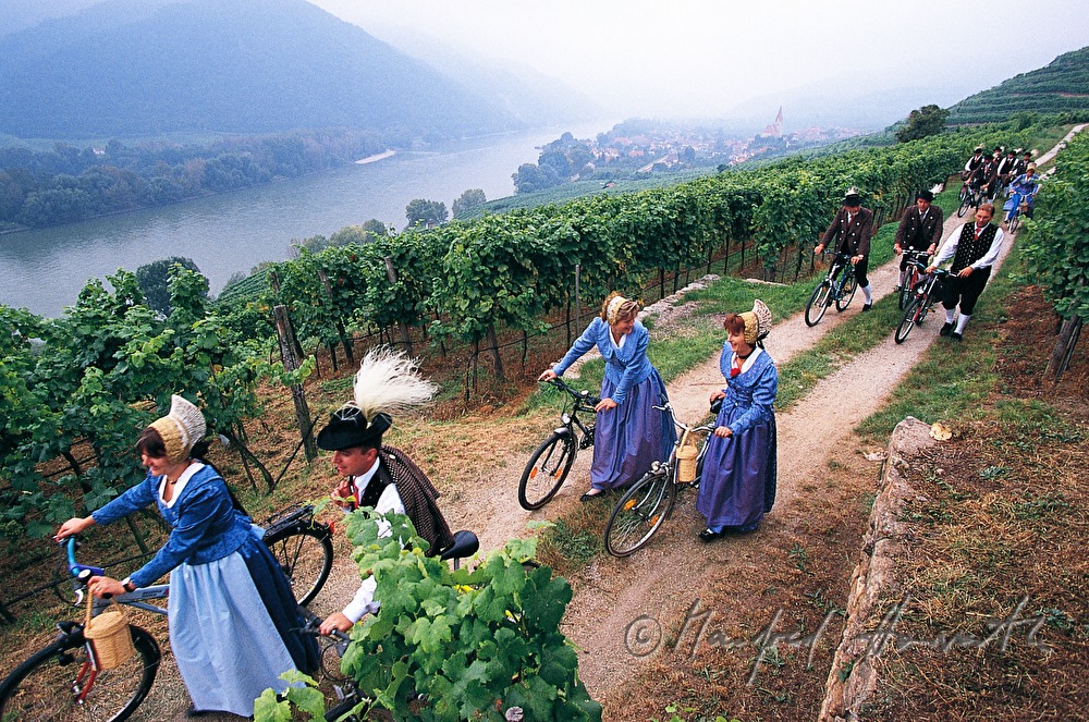 Radfahrer in Tracht im Weinberg