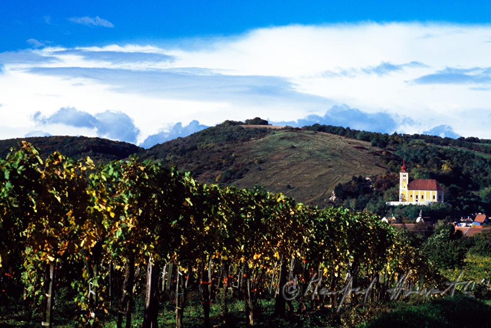 Weinberge bei Donnerskirchen