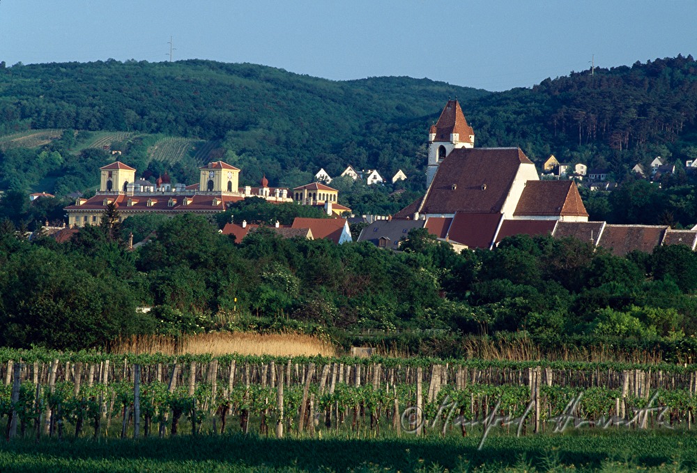 Blick von den Krautgärten