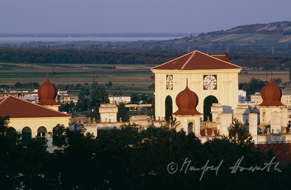 Blick zum Neusiedlersee