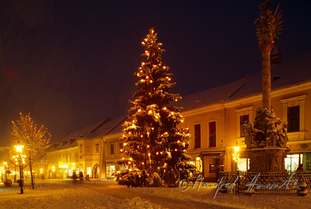 Christbaum mit Weihnachtsbeleuchtung bei der Pestsäule