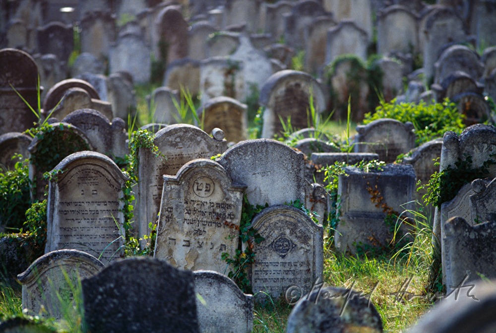 umgekippte Grabsteine am jüdischen Friedhof