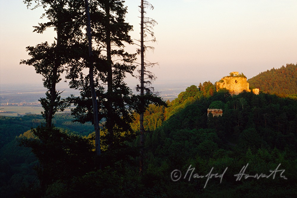 Burgruine Landsee im Naturpark Landseer Berge