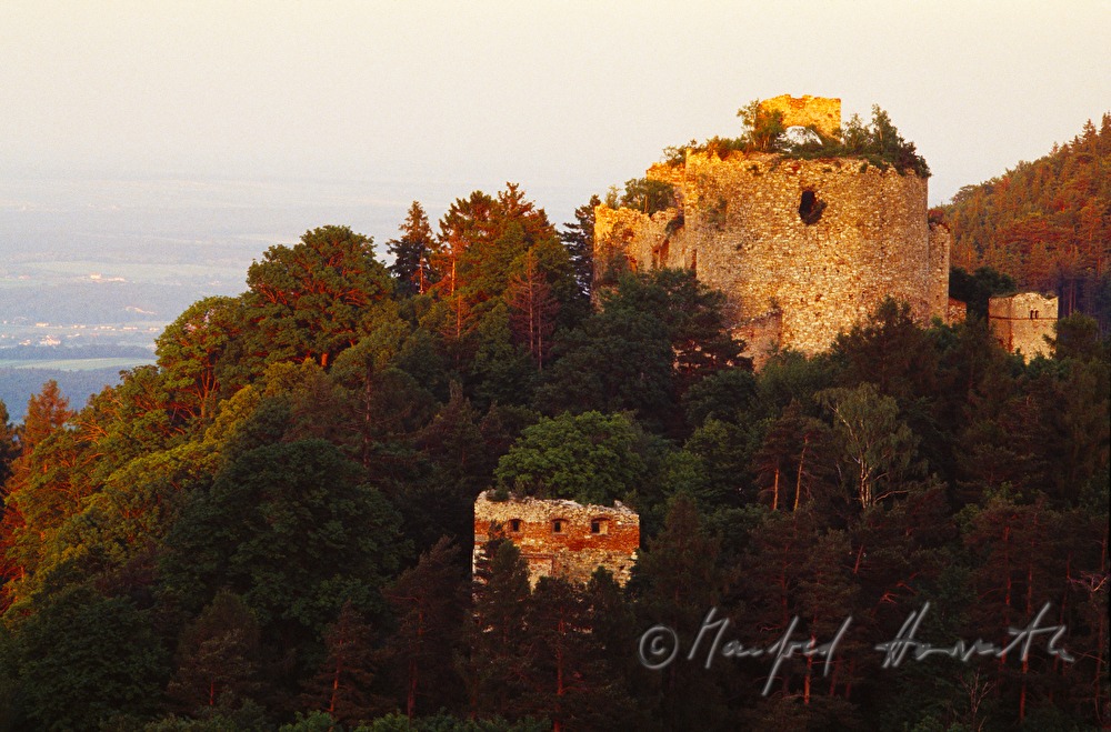 Burgruine Landsee im Naturpark Landseer Berge