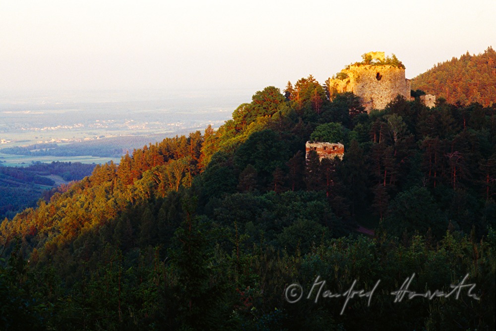 Burgruine Landsee im Naturpark Landseer Berge