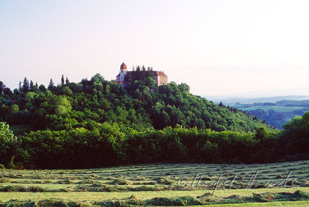 Burg und gemähte Wiese