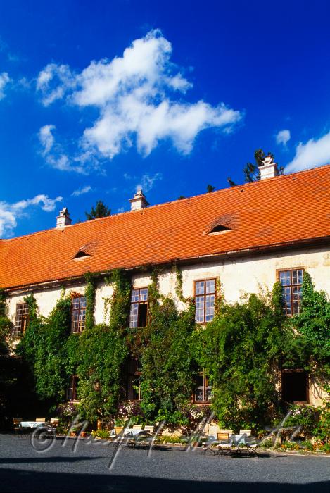 Innenhof mit begrünter Burgmauer