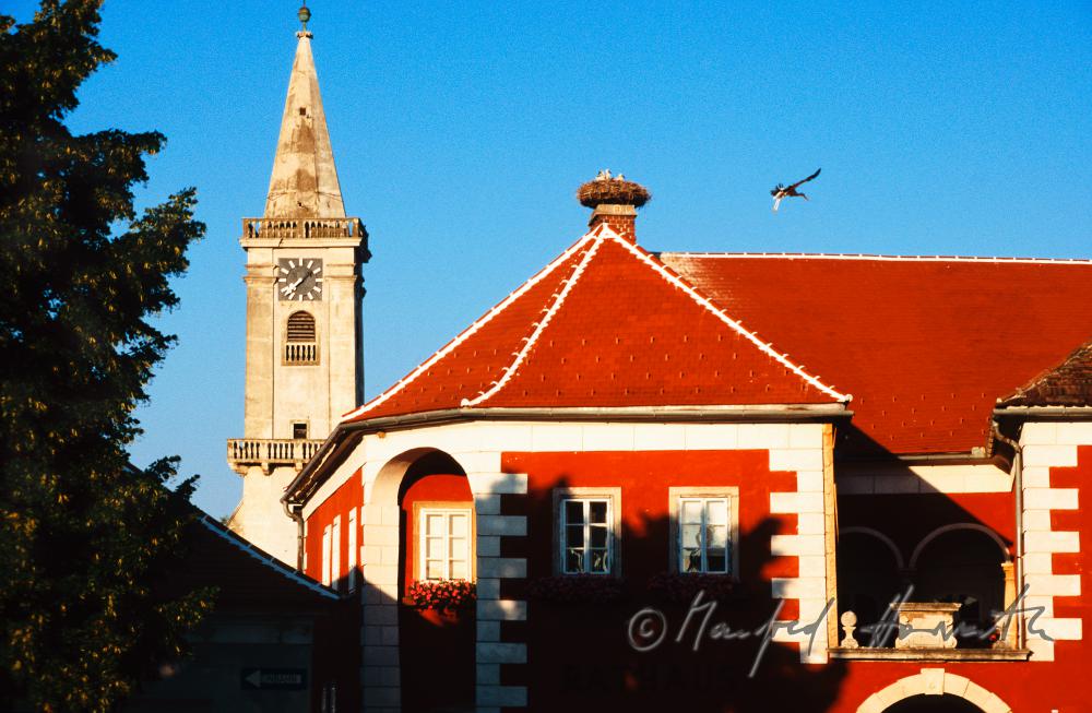 Rathaus und katholische Kirche