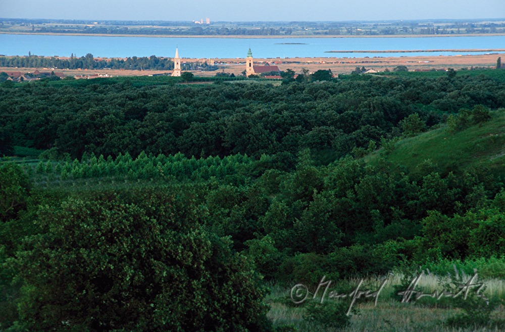 Weinberge, Heide und Neusiedlersee