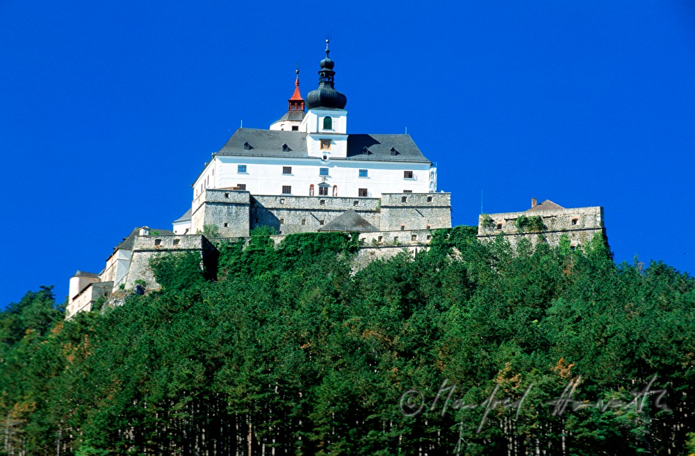 von Nadelwald umgeben