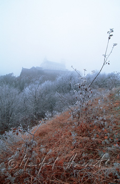 Rauhreif und die Burg im Nebel